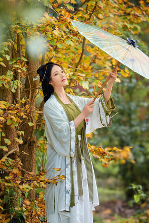 黑帮老大我的365天