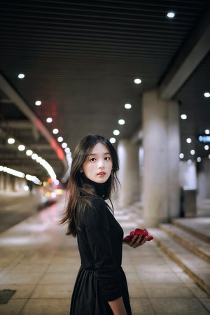 日本免费视频导航